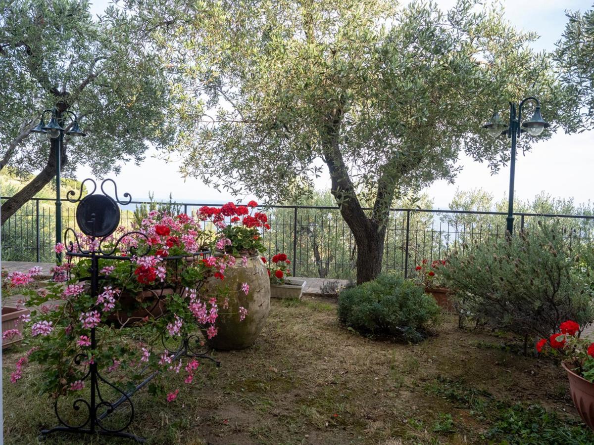 Bed and Breakfast Tra Gli Ulivi П'єтра-Лігуре Екстер'єр фото